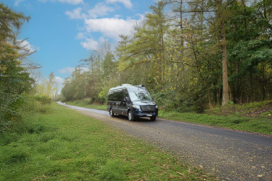 M-Star-Woodland-Hero-1