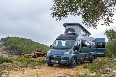 Benimar van at the forest